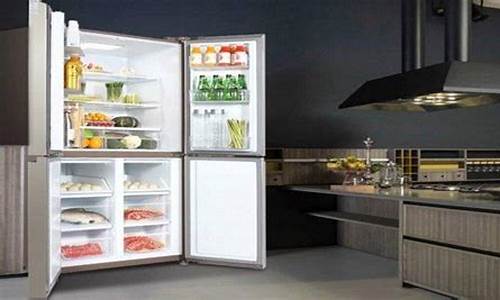 冰箱哪个品牌质量好_海尔与容声冰箱哪个品牌质量好